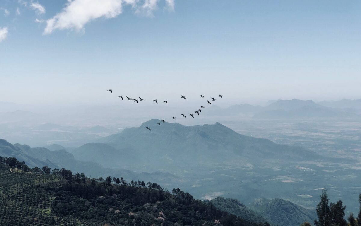 Escaping the Tilted Room: Cultivating Relational Intelligence