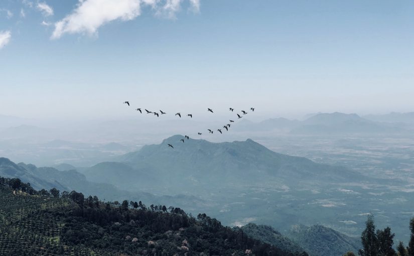Escaping the Tilted Room: Cultivating Relational Intelligence