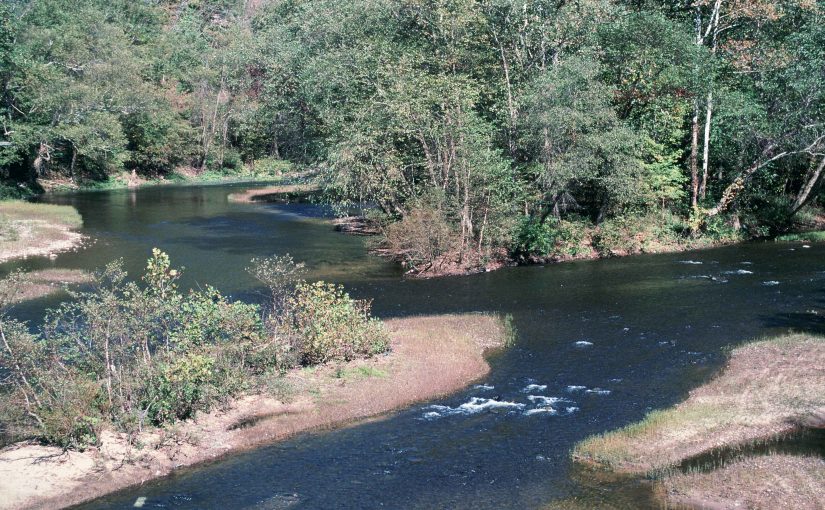 Elk River: Looking at the Whole Picture