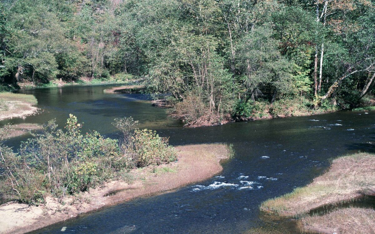 Elk River: Looking at the whole picture