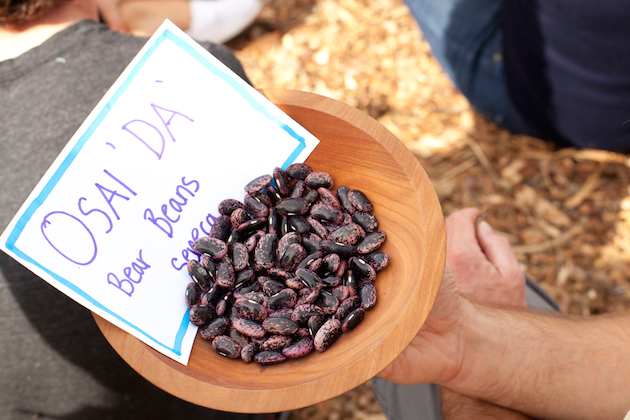 Urban Native Food Justice and Revitalization Workshop at Bioneers 2015
