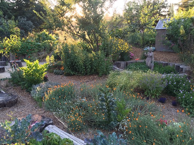 Erik Ohlsen: California’s Drought as Permaculture Opportunity