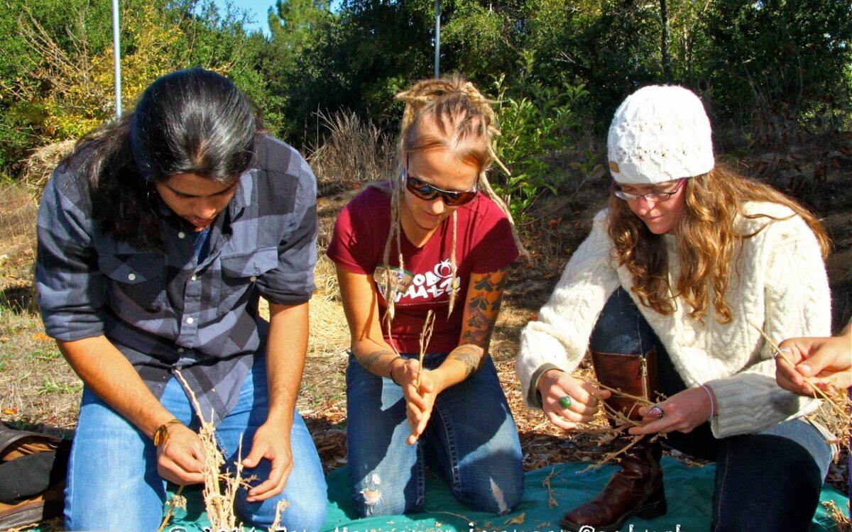 Just Us 4 Food Justice: a One-day Workshop for Youth Food Justice Activists