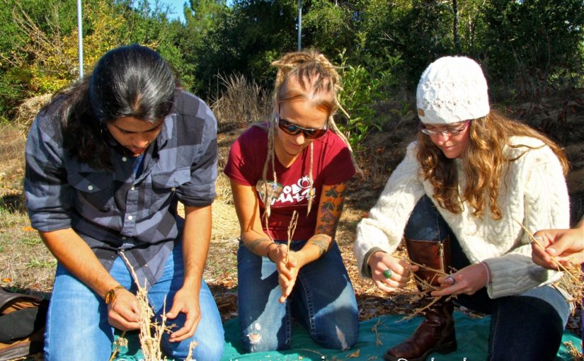 Just Us 4 Food Justice: a One-day Workshop for Youth Food Justice Activists