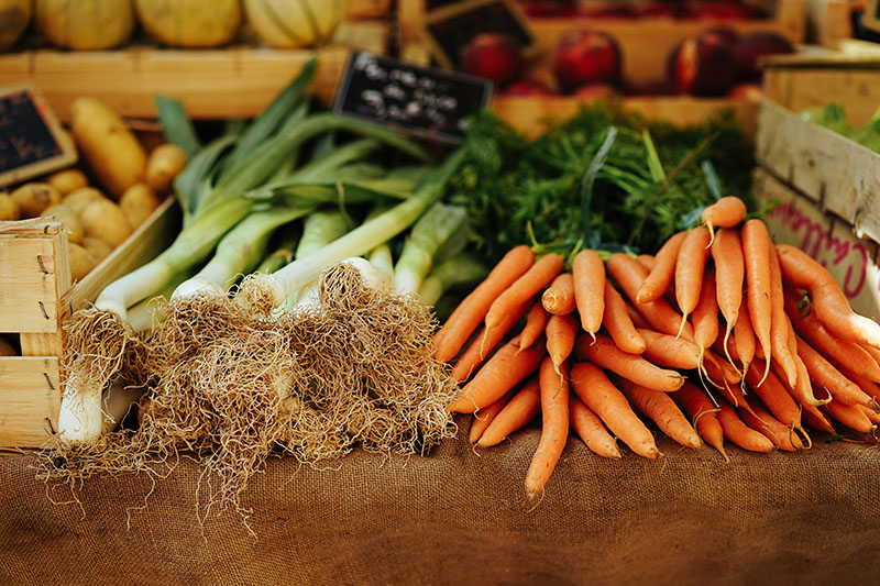 Eating Plant-Based Diets Can Play a Huge Role in Limiting the Effects of Climate Change