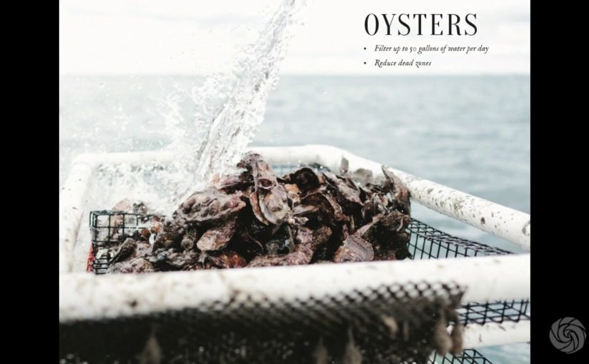 Bren Smith – Restorative Ocean Farmers | Bioneers 2016 Short Clips Series