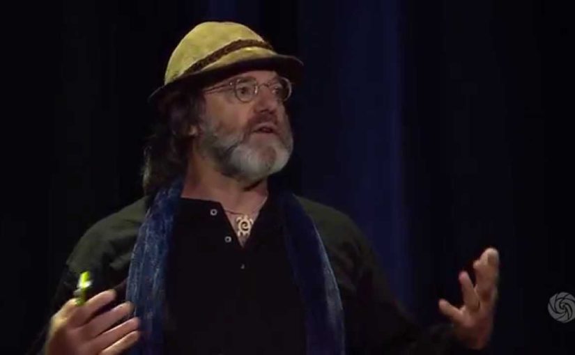 Paul Stamets on Bees