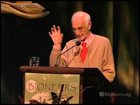 James Hillman – Accentuate the Positive: Reclaiming the Country from the Nation