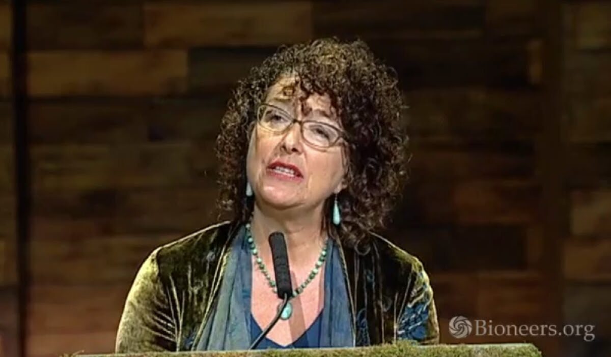 Phaedra Ellis-Lamkins, Nina Simons and Ilarion Merculieff on Women’s Leadership