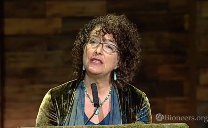 Phaedra Ellis-Lamkins, Nina Simons and Ilarion Merculieff on Women’s Leadership