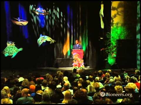 Jerome Ringo – Color of Green: The Next Inconvenient Truth