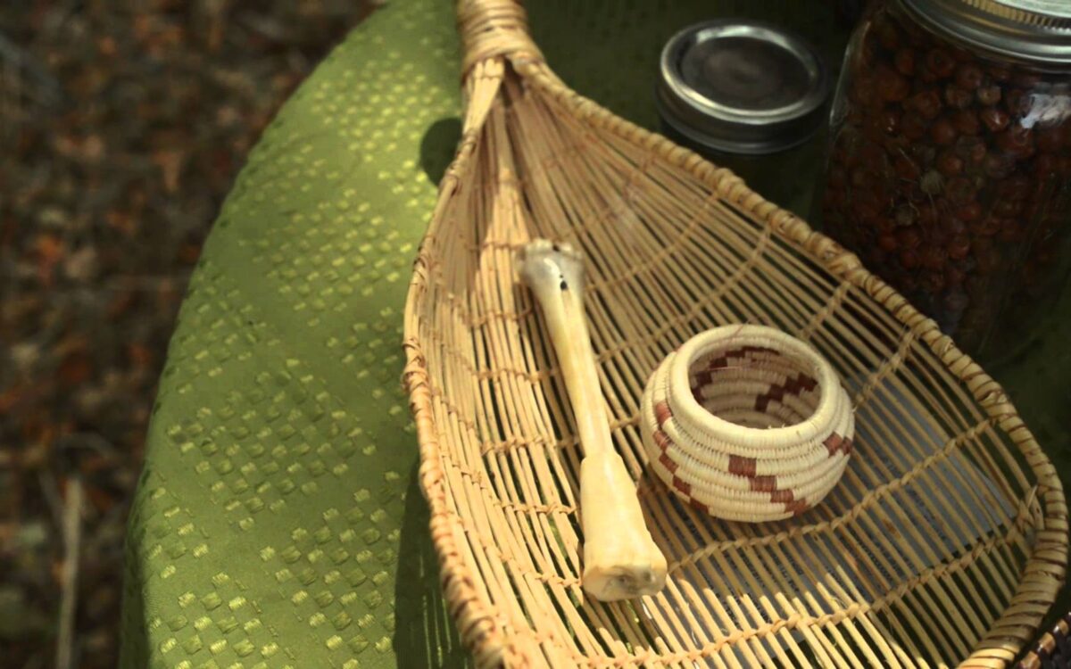 Three Sisters Farming: Indigenous Women, Plants and Foodways