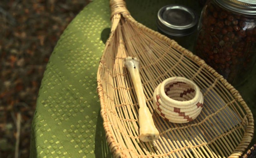 Three Sisters Farming: Indigenous Women, Plants and Foodways