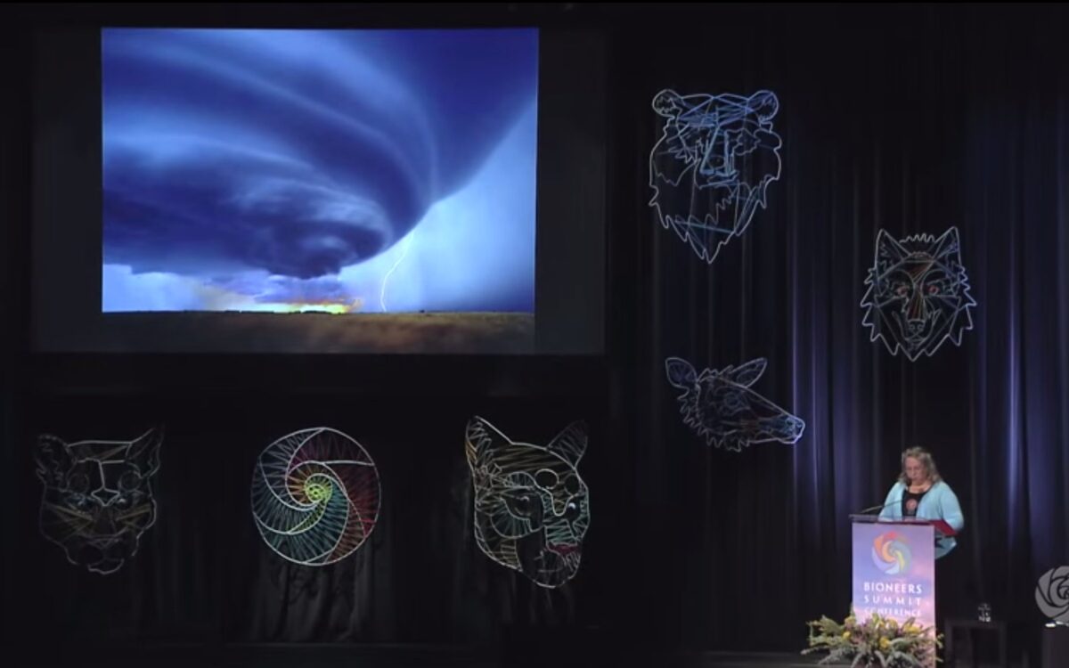 Robin Kimmerer on Seeing Land as Sacred