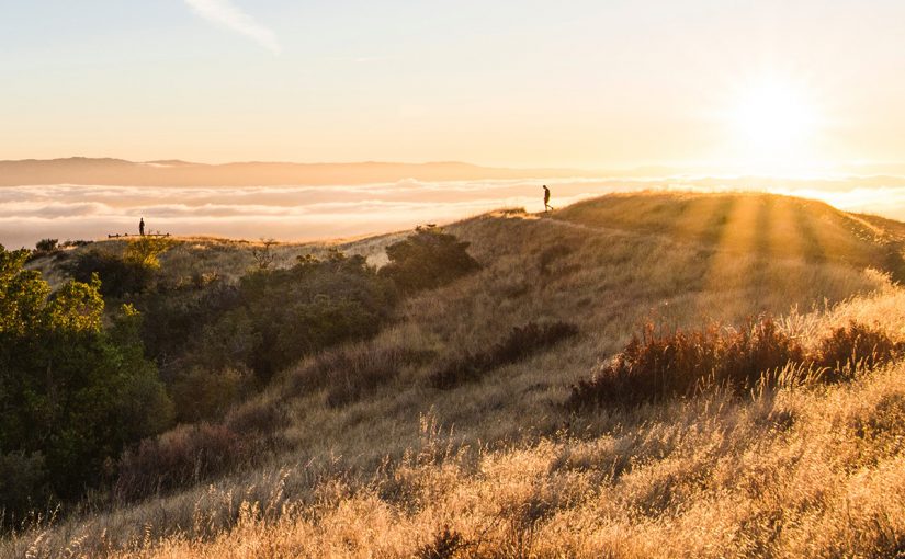 Native Land Trusts: Returning to a Land They Never Left | Indigenous Forum