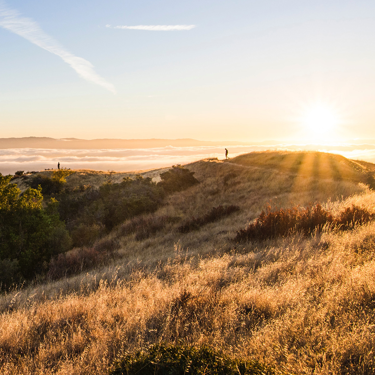 Native Land Trusts: Returning to a Land They Never Left | Indigenous Forum