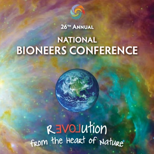 Scaling Up Climate Education