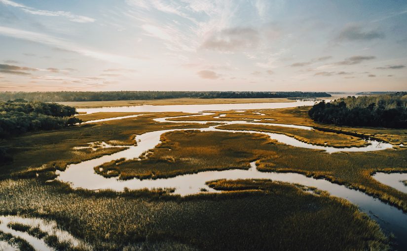 Resilient Landscapes, Climate-Smart Conservation: The Art and Science of Restoring the World We Want