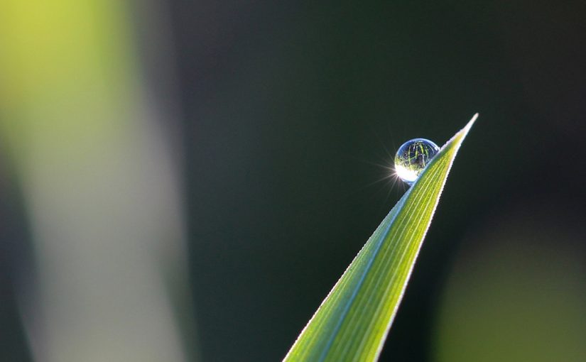 A Return to Wholeness: Storytelling as a Healing Art | Rachel Naomi Remen