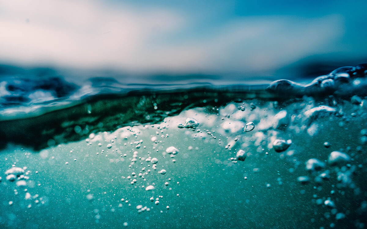 The Seaweed Rebellion: Saving the Earth by Saving the Oceans | Michael Stocker, Anne Rowley…