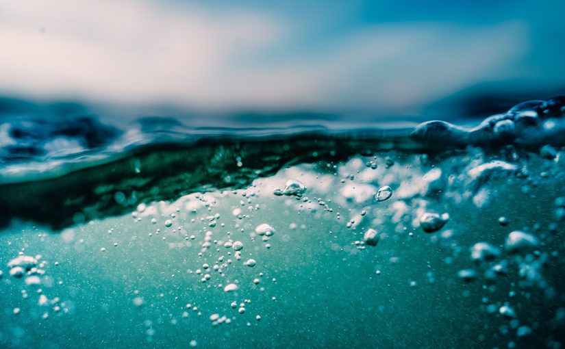 The Seaweed Rebellion: Saving the Earth by Saving the Oceans | Michael Stocker, Anne Rowley…