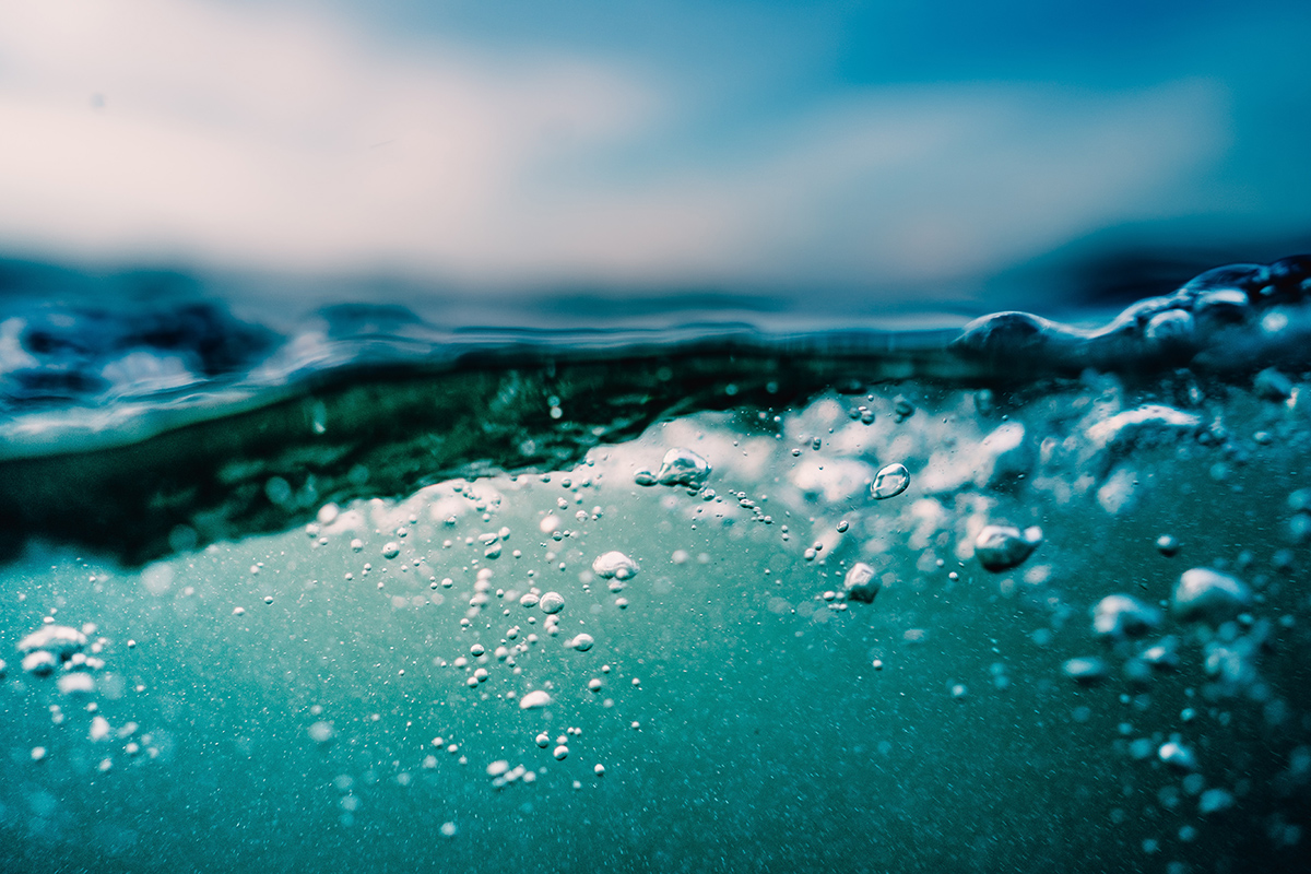 The Seaweed Rebellion: Saving the Earth by Saving the Oceans | Michael Stocker, Anne Rowley…