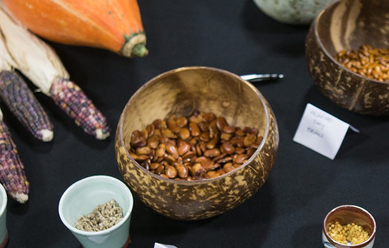 Excerpt from Matthew Dillon of Seed Matters at Bioneers 2012