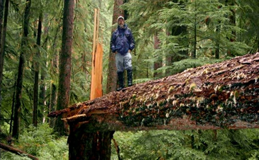 Paul Stamets – Solutions from the Underground