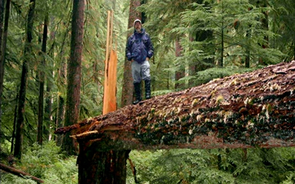Paul Stamets – Solutions from the Underground