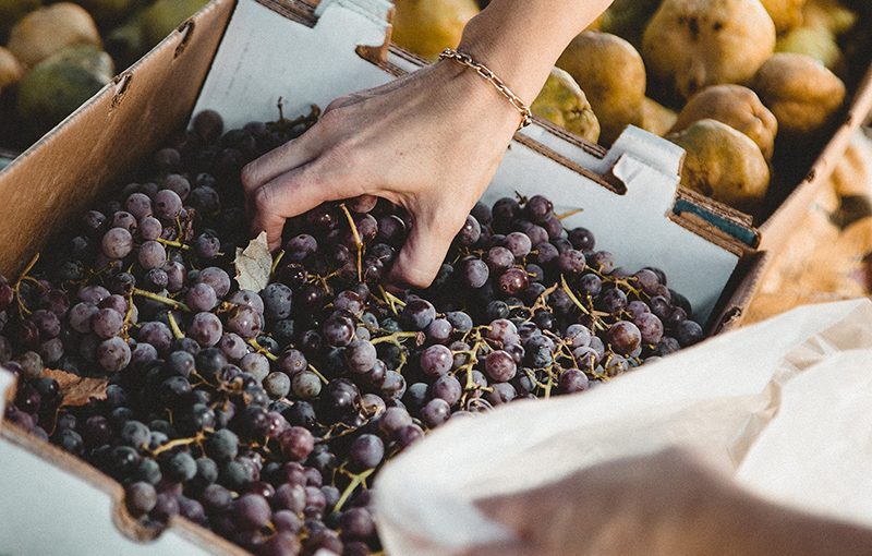 Re-Localizing the Food System