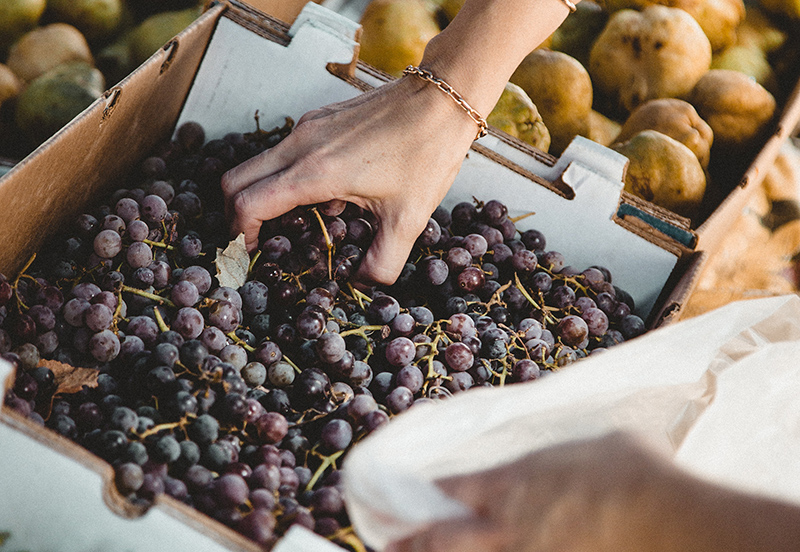 Re-Localizing the Food System