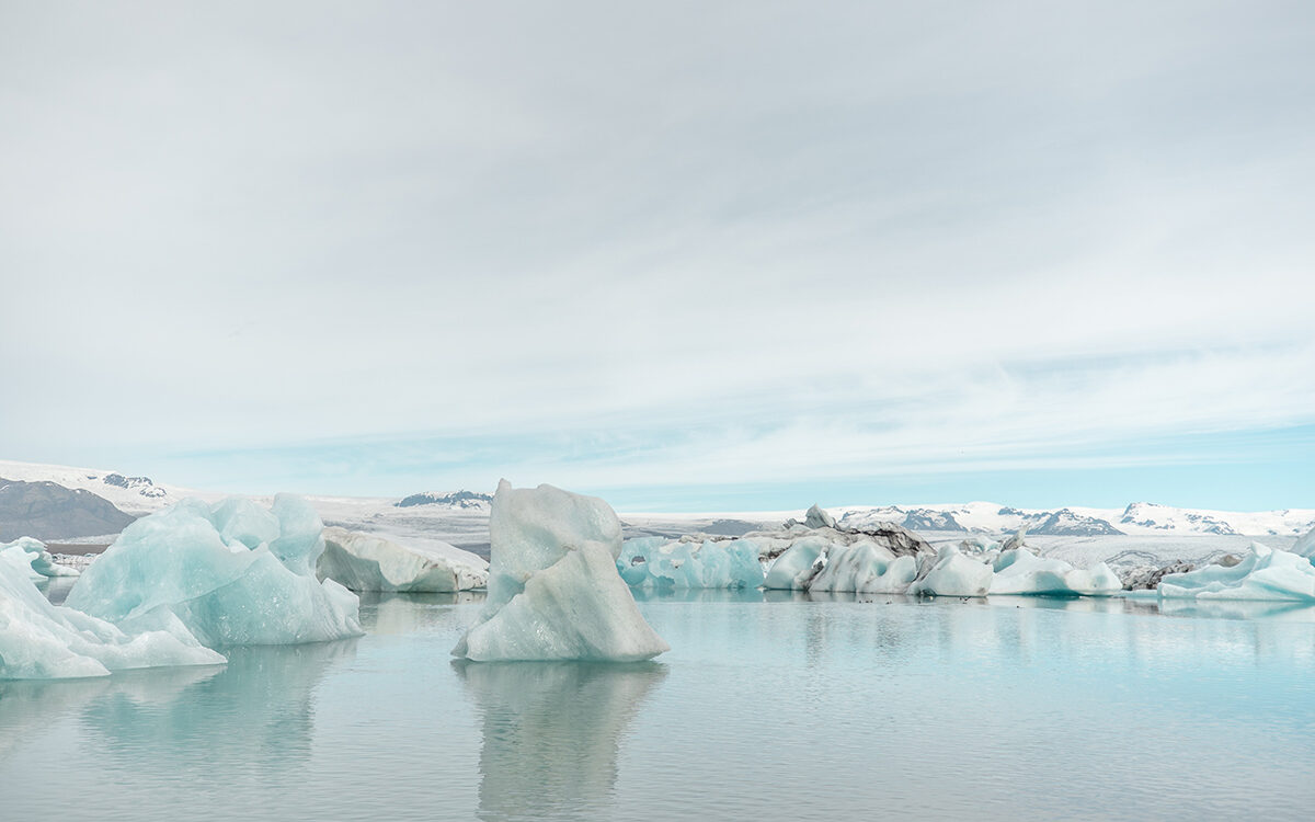 The Carbon Economy Disruption: Turning the Ship