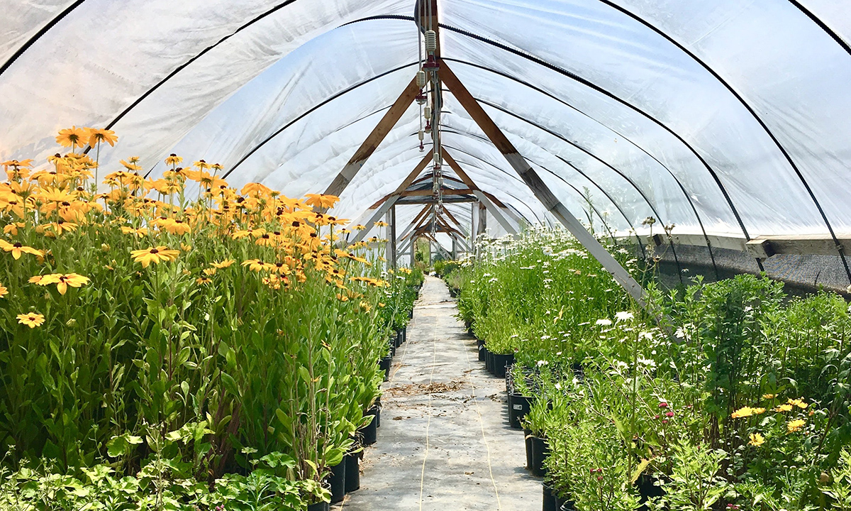 John Todd – The Ecological Design Revolution