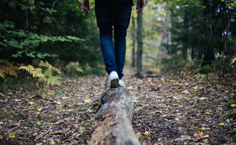 Ecological Medicine: Healing Health Care | Andrew Weil, M.D. & Charlotte Brody