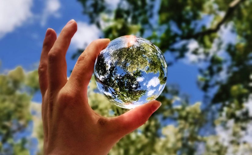 Toward a Nontoxic Industry and Economy