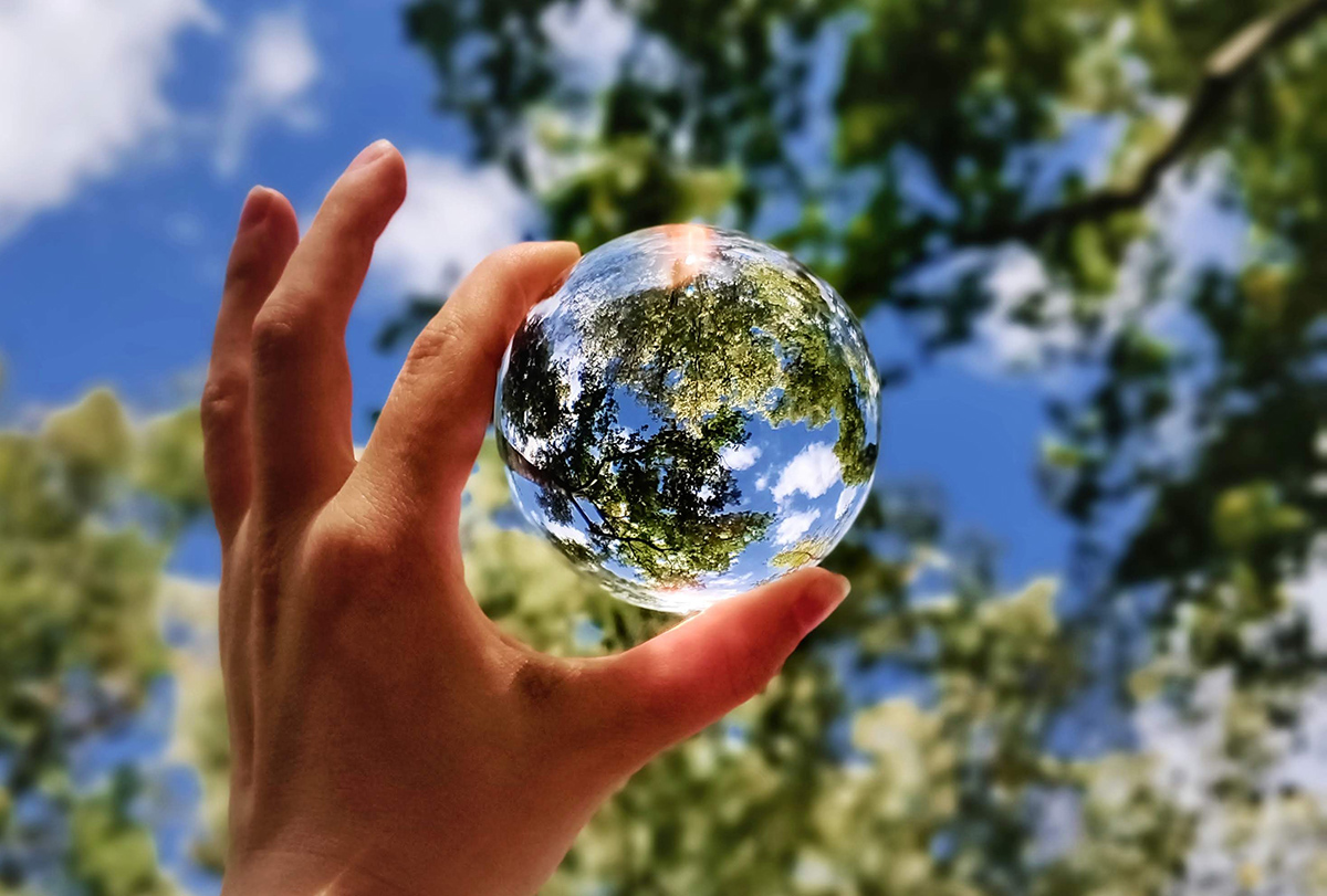 Toward a Nontoxic Industry and Economy