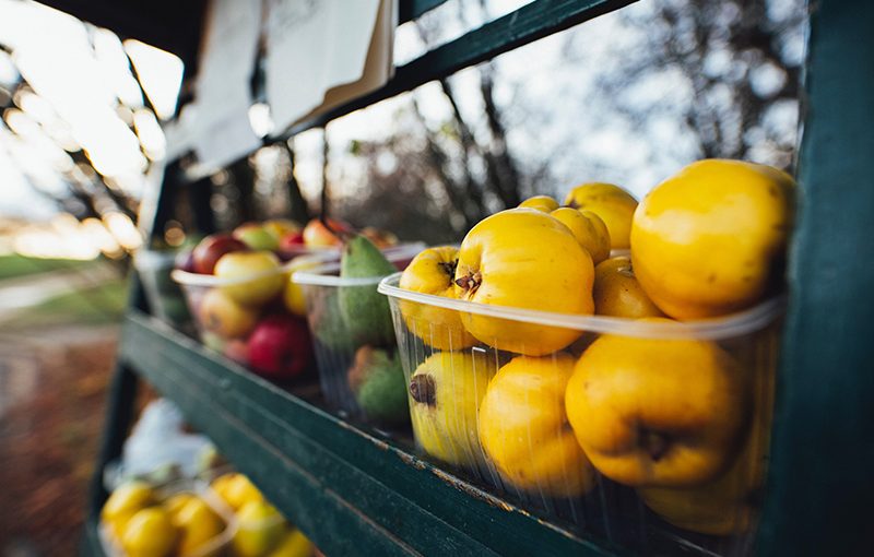 Curbing Corporate Power to Develop a Just Food System | Joann Lo, Saru Jayaraman, Sriram Madhusoodanan, and Ben Burkett