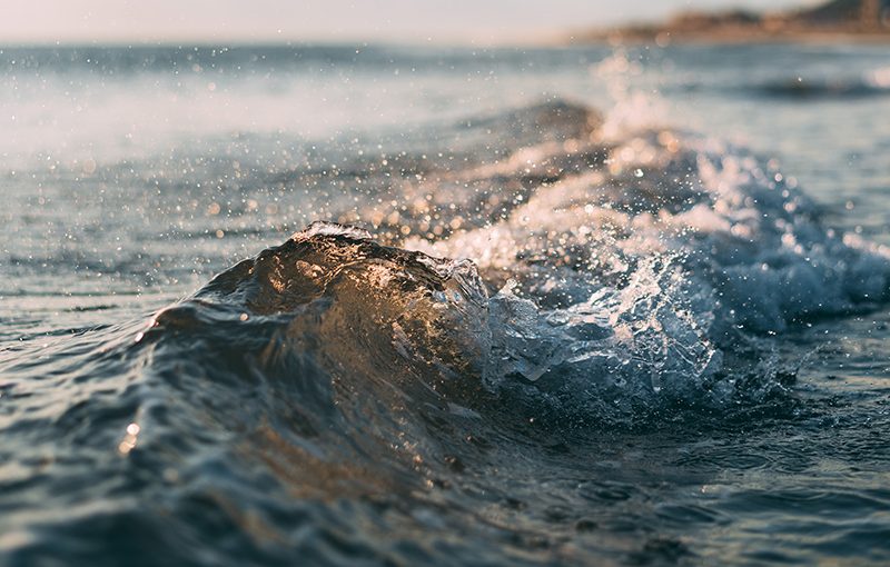 Your Brain On Water