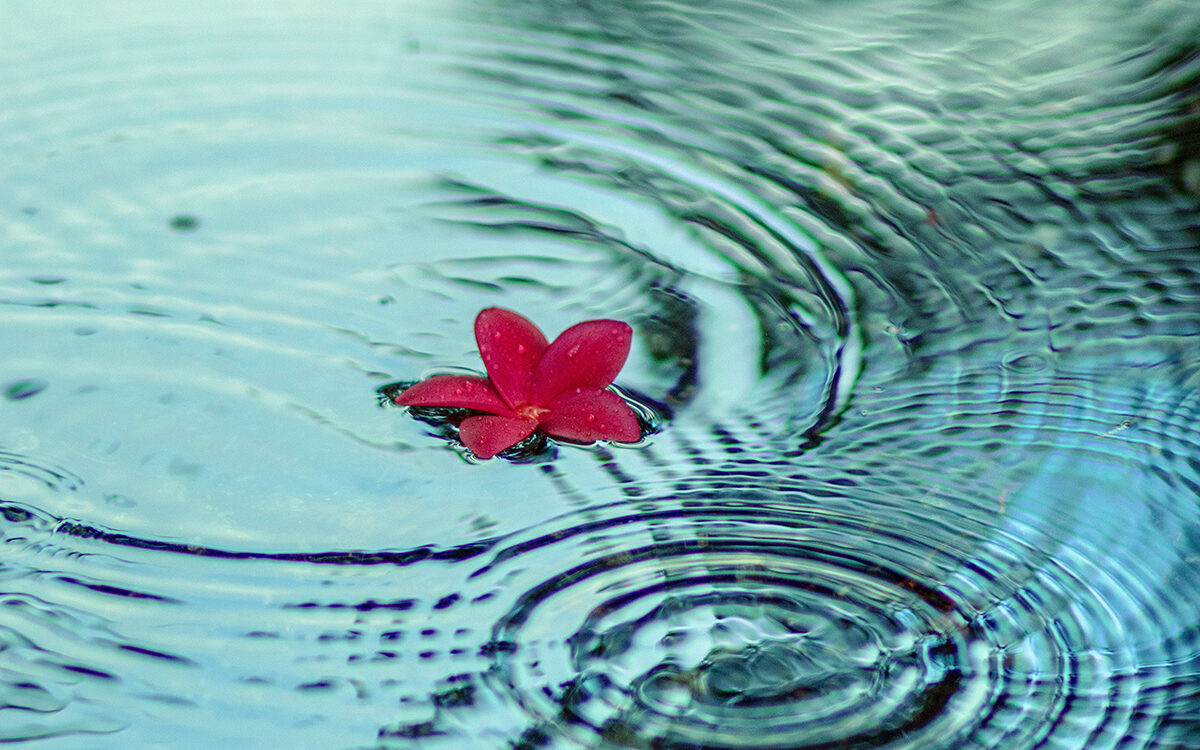 Spirituality and Faith Communities: Engaging for Resilience and Action