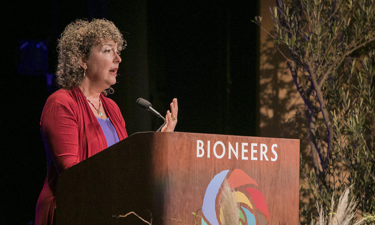Nina Simons: Cultivating Diversity, Intuition and Attention for Resilience