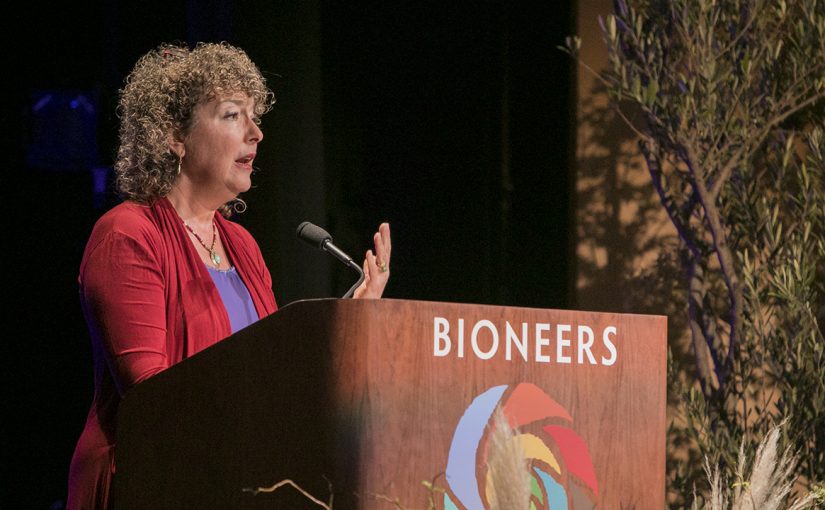 Nina Simons: Cultivating Diversity, Intuition and Attention for Resilience