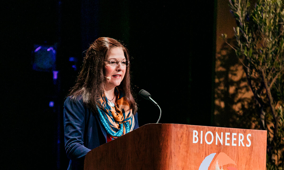Teresa Ryan: How Trees Communicate