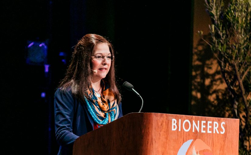 Teresa Ryan: How Trees Communicate