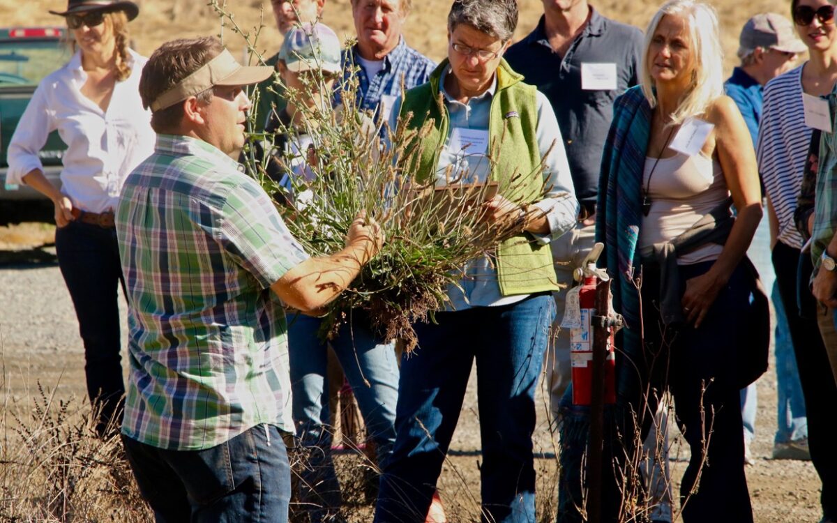 Bioneers Restorative Food Systems Program Promotes Equitable, Healthy Food Systems—With Your Help