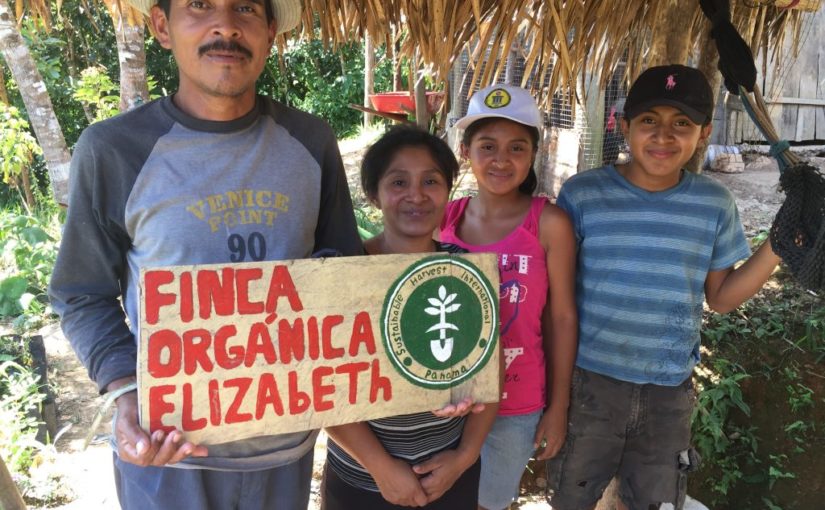 Agroecology: Restoring Ecosystems and Local Economies