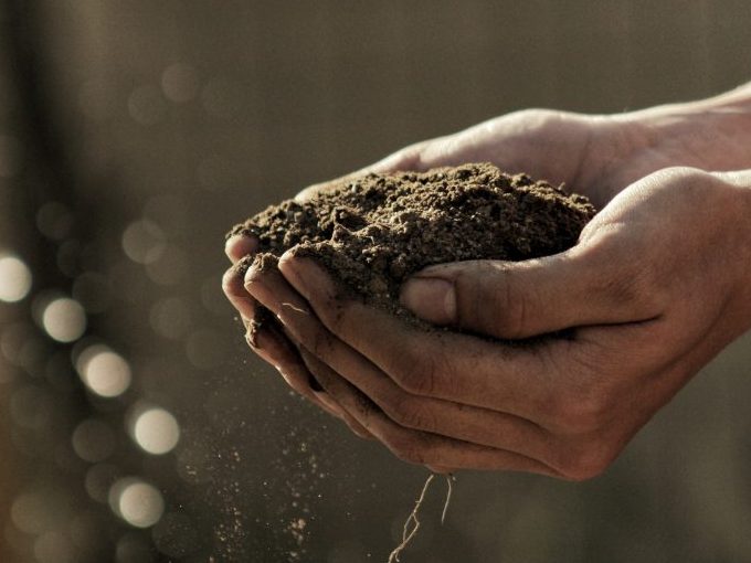 We All Rely on Soil — But We Treat It Like Dirt