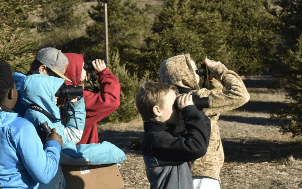 Why I Teach About Birds