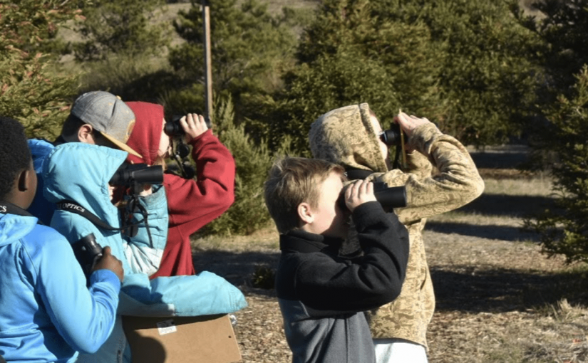 Why I Teach About Birds