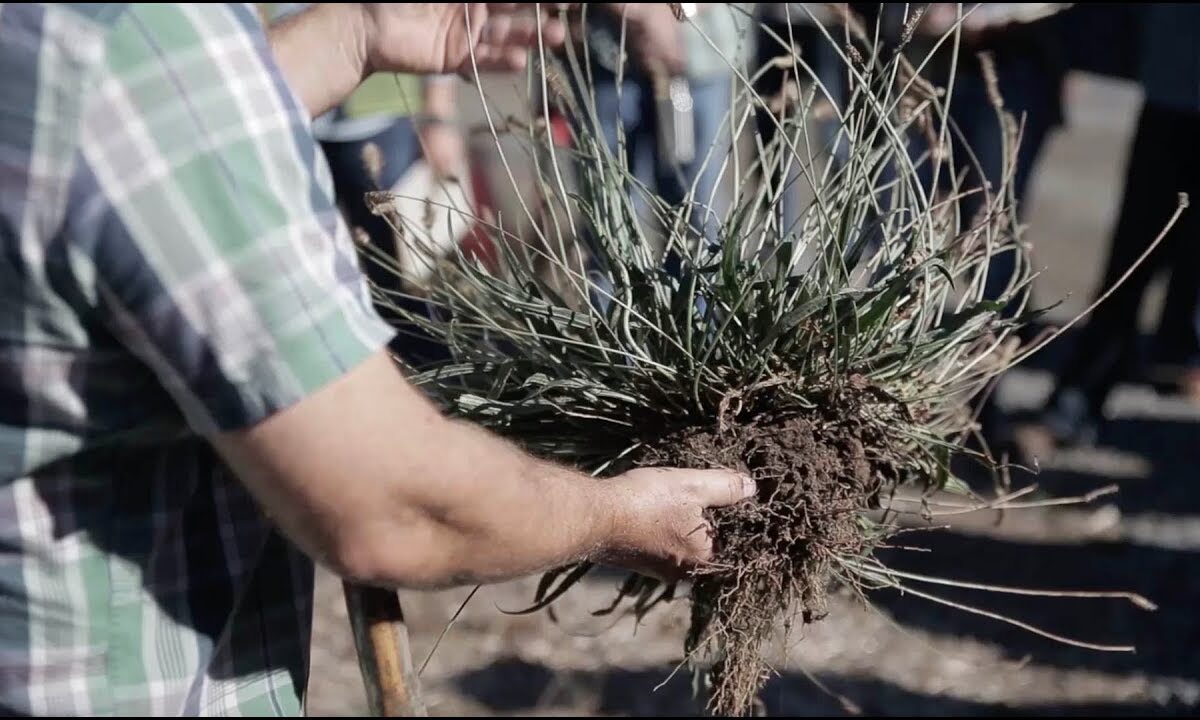 Carbon Farming: Agriculture’s Answer to Climate Change