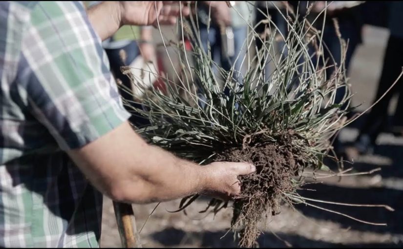 Carbon Farming: Agriculture’s Answer to Climate Change